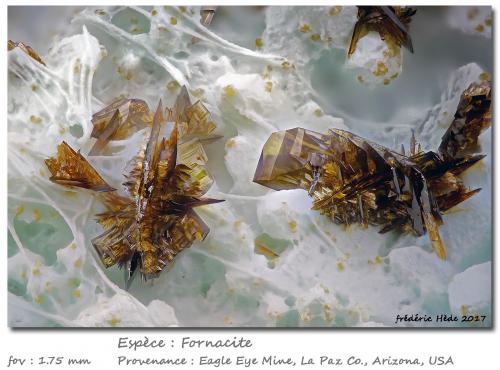Fornacite<br />Eagle Eye Mine, Moore Mine Group, New Water District, New Water Mountains, La Paz County, Arizona, USA<br />fov 1.75 mm<br /> (Author: ploum)