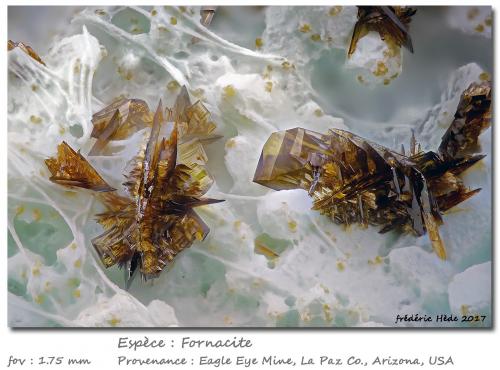 Fornacite<br />Mina Eagle Eye, Grupo Moore Mine, Distrito New Water, Montes New Water, Condado La Paz, Arizona, USA<br />fov 1.75 mm<br /> (Author: ploum)