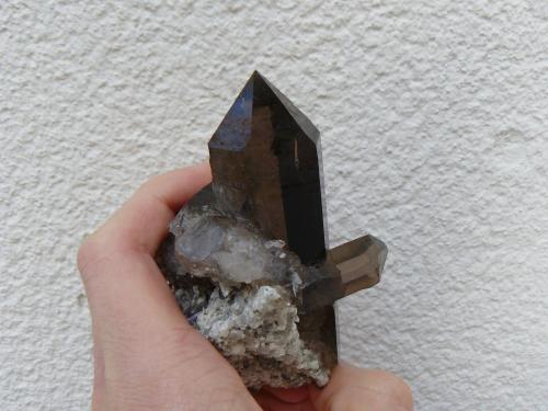 Quartz (variety smoky) with Hematite<br />Vorderes Galmihorn, Bächi Valley, Reckingen, Grafschaft, Goms, Wallis (Valais), Switzerland<br />8 cm<br /> (Author: Benj)