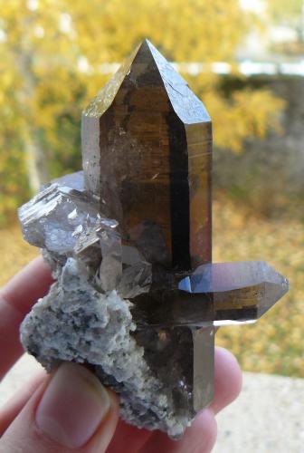 Quartz (variety smoky) with Hematite<br />Vorderes Galmihorn, Bächi Valley, Reckingen, Grafschaft, Goms, Wallis (Valais), Switzerland<br />8 cm<br /> (Author: Benj)