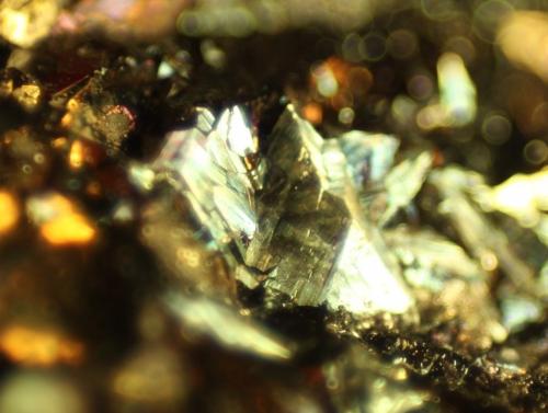 Pyrite<br />Valdelapiedra ravine, Foz-Calanda, Comarca Bajo Aragón, Teruel, Aragon, Spain<br />FOV 5 mm<br /> (Author: franjungle)