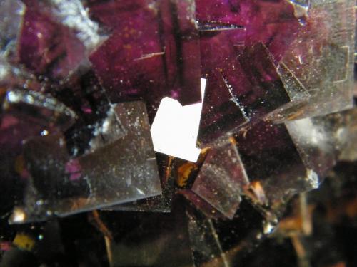 Fluorite<br />Okorusu Mine, Otjiwarongo District, Otjozondjupa Region, Namibia<br />238mm x 159mm x 162mm<br /> (Author: Heimo Hellwig)