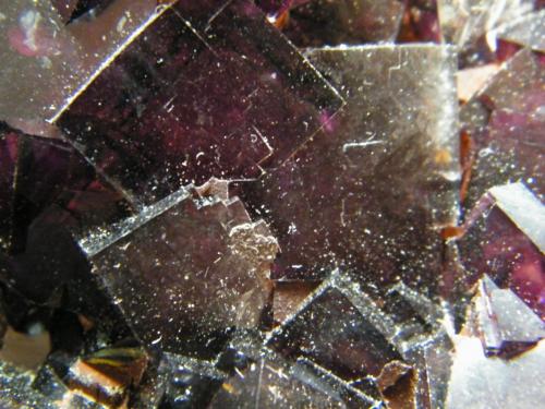 Fluorite<br />Mina Okorusu, Distrito Otjiwarongo, Región Otjozondjupa, Namibia<br />238mm x 159mm x 162mm<br /> (Author: Heimo Hellwig)
