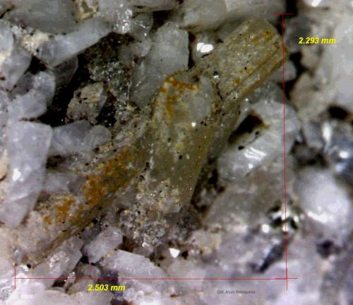 Fluorapatito<br />Afloramientos Adra, Adra , Comarca Poniente Almeriense, Almería, Andalucía, España<br />2´503 x 2´293 mm.<br /> (Autor: Jesus Franquesa Baucells)