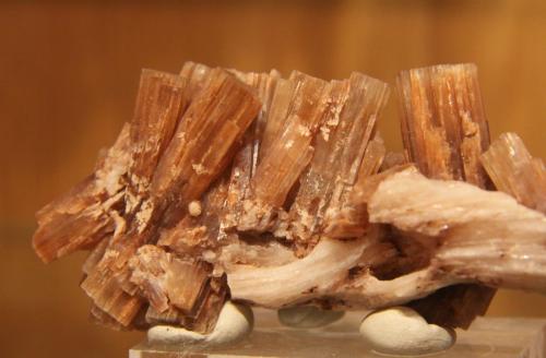 Aragonite<br />Keuper outcrop, Los Tolmos, Arbujuelo, Medinaceli, Comarca Arcos de Jalón, Soria, Castile and León, Spain<br />112mm x 58mm x 65mm<br /> (Author: franjungle)