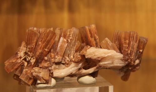 Aragonite<br />Keuper outcrop, Los Tolmos, Arbujuelo, Medinaceli, Comarca Arcos de Jalón, Soria, Castile and León, Spain<br />112mm x 58mm x 65mm<br /> (Author: franjungle)