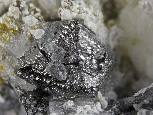 Magnetite<br />Shijiangshan Mine, Yinwu, Linxi, Ulanhad League, Inner Mongolia Autonomous Region, China<br />FOV 1.3 cm<br /> (Author: Cesar M. Salvan)