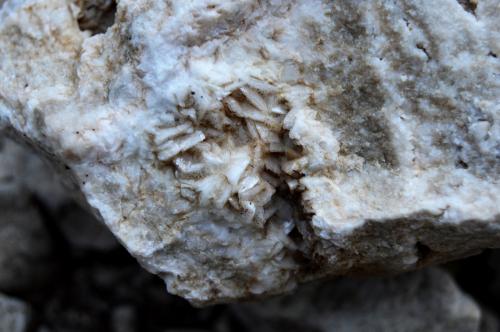 Dolomita<br />Minas San Jorge, Riópar, Comarca Sierra de Alcaraz, Albacete, Castilla-La Mancha, España<br />3cm x 3cm<br /> (Autor: DPC)