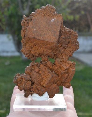 Goethita<br />Carratraca, Comarca Valle del Guadalhorce, Málaga, Andalusia, Spain<br />13x9 cm<br /> (Autor: nimfiara)