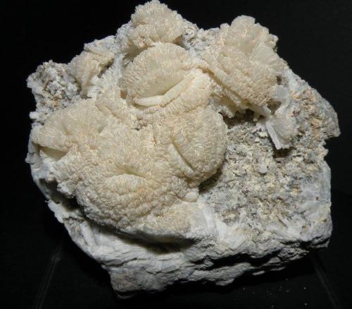 Prehnita<br />Minera I Quarry, Cerro de los Serranos, Lebrija, Comarca Bajo Guadalquivir, Seville, Andalusia, Spain<br />10x9 cm<br /> (Autor: nimfiara)