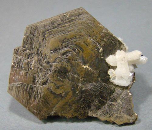 Pirrotita<br />Dalnegorsk, Dalnegorsk Urban District, Primorsky Krai, Russia<br />4 cm<br /> (Autor: nimfiara)