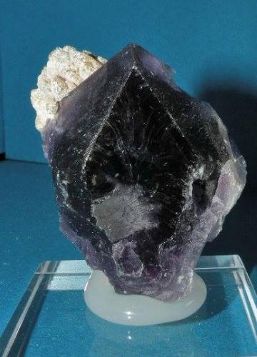 Fluorita<br />La Cabaña, Berbes mining area, Valdelmar, Berbes, Ribadesella, Comarca Oriente, Principality of Asturias (Asturias), Spain<br />3x4 cm<br /> (Autor: nimfiara)