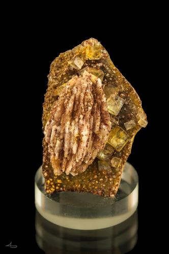 Baryte, Fluorite<br />Frisch Glück adit (Adit 134), Bergmännisch Glück Flacher vein, Frohnau, Annaberg-Buchholz, Annaberg District, Erzgebirgskreis, Saxony/Sachsen, Germany<br />4,1 x 2,5 x 1,6 cm<br /> (Author: Niels Brouwer)