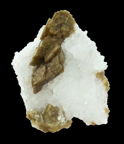 Siderite, Quartz<br />Neudorf, Harzgerode mining district, Harz, Saxony-Anhalt/Sachsen-Anhalt, Germany<br />Specimen height 6 cm, largest siderite crystal 2,5 cm<br /> (Author: Tobi)