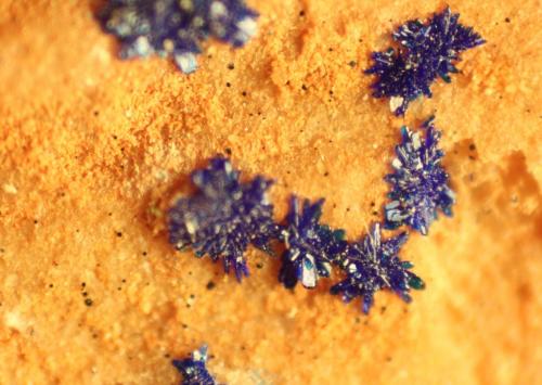 Azurite<br />Reformada Mine, El Pinar de Bédar, Bédar, Comarca Levante Almeriense, Almería, Andalusia, Spain<br />FOV 7 mm<br /> (Author: franjungle)