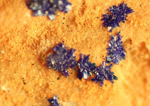 Azurite<br />Reformada Mine, El Pinar de Bédar, Bédar, Comarca Levante Almeriense, Almería, Andalusia, Spain<br />FOV 7 mm<br /> (Author: franjungle)