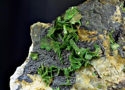 Torbernita<br />Undécimo San Lino Mine, Cardeña, Comarca Los Pedroches, Córdoba, Andalusia, Spain<br />Campo de visión de 30 mm<br /> (Autor: Antonio Carmona)