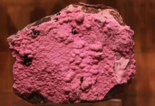 Dolomite (variety cobaltoan dolomite)<br />Katanga Copper Crescent, Katanga (Shaba), Democratic Republic of the Congo (Zaire)<br />96mm x 74mm x 56mm<br /> (Author: franjungle)