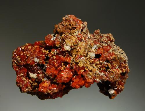 Botryogen<br />Libiola Mine, Sestri Levante, Genova Province, Liguria, Italy<br />4.3 x 6.7 cm<br /> (Author: crosstimber)