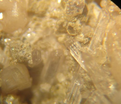 Apatito (Grupo)<br />Mina Vicente Marinho, Mantena, Vale do Rio Doce, Minas Gerais, Brasil<br />Cerca de 3 x 0,4 x 0,4 mm<br /> (Autor: Anisio Claudio)