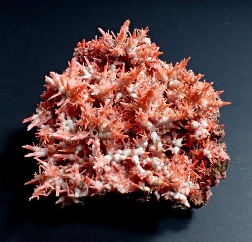 Crocoite, Gibbsite<br />Adelaide Mine, Dundas mineral field, Zeehan District, West Coast Council, Tasmania, Australia<br />66 mm x 55 mm x 29 mm<br /> (Author: Don Lum)