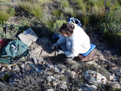 Riana busy removing the contents of a nice pocket. (Author: Pierre Joubert)