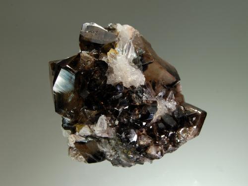 Cassiterite<br />Amo deposit, Ximeng, Pu'er Prefecture, Yunnan Province, China<br />3.7 x 4.5 cm<br /> (Author: crosstimber)