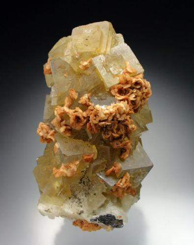 Fluorite with Ankerite<br />Mina Brownley Hill, Nenthead, Distrito Alston Moor, North Pennines Orefield, (antes Cumberland), Cumbria, Inglaterra / Reino Unido<br />10x5x5 cm overall size<br /> (Author: Jesse Fisher)