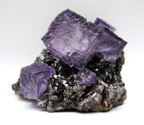 Fluorite, Sphalerite<br />Elmwood Mine, Carthage, Central Tennessee Ba-F-Pb-Zn District, Smith County, Tennessee, USA<br />Specimen size 7,5 cm, largest fluorite 3 cm<br /> (Author: Tobi)