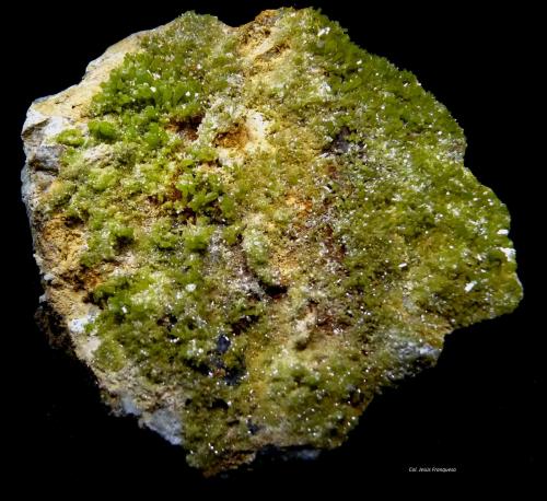 Piromorfita.<br />Mina Daoping, Gongcheng, Prefectura Guilin, Región Autónoma Guangxi Zhuang, China<br />100x90 mm.<br /> (Autor: Jesus Franquesa Baucells)
