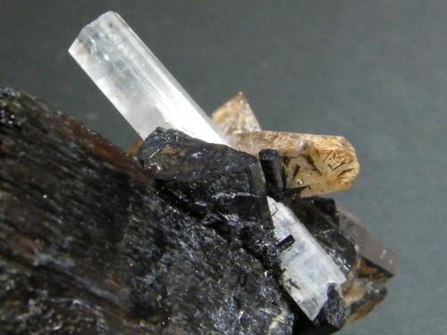 Beryl (variety aquamarine), Schorl and Quartz<br />Erongo Mountain, Usakos, Erongo Region, Namibia<br />55mm x 68mm x 57mm<br /> (Author: Heimo Hellwig)