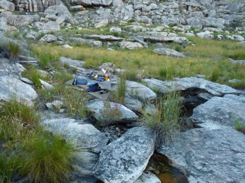 My camp site next to a small stream. (Author: Pierre Joubert)