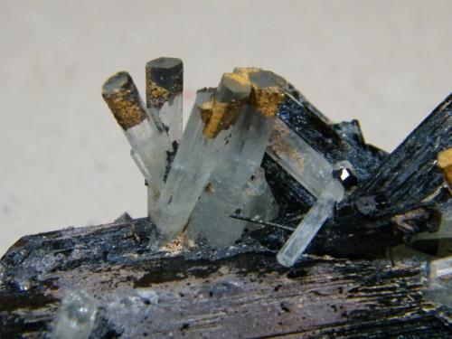 Beryl (variety aquamarine) and Schorl<br />Erongo Mountain, Usakos, Erongo Region, Namibia<br />81mm x 58mm x 60mm<br /> (Author: Heimo Hellwig)