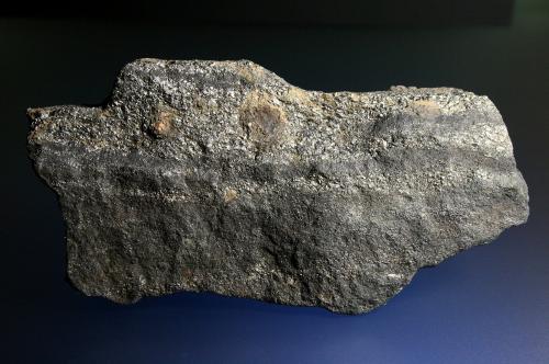 Löllingita y Magnetita<br />Mina Monchi, Sierra del Cordel, Burguillos del Cerro, Comarca Zafra-Río Bodión, Badajoz, Extremadura, España<br />12 x 5 cm.<br /> (Autor: Antonio P. López)