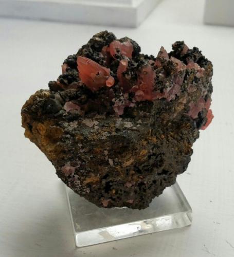 Rhodochrosite<br />Mina Louise, Horhausen, Flammersfeld, Altenkirchen (Westerwald), Siegerland, Renania-Palatinado/Rheinland-Pfalz, Alemania<br />5,5 x 4,5 cm<br /> (Author: Andreas Gerstenberg)