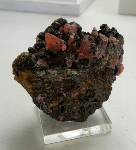 Rhodochrosite<br />Mina Louise, Horhausen, Flammersfeld, Altenkirchen (Westerwald), Siegerland, Renania-Palatinado/Rheinland-Pfalz, Alemania<br />5,5 x 4,5 cm<br /> (Author: Andreas Gerstenberg)