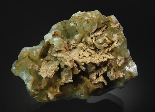 Prehnite<br />Roncari Quarry, East Granby, Hartford County, Connecticut, USA<br />5.2 x 6.8 cm<br /> (Author: crosstimber)