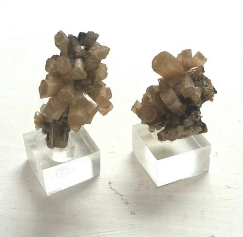 Pyromorphite<br />Friedrich Mine, Schönstein (Steckenstein), Wissen, Flammersfeld, Altenkirchen (Westerwald), Siegerland, Rhineland-Palatinate/Rheinland-Pfalz, Germany<br />About 2 x 1,5 cm each<br /> (Author: Andreas Gerstenberg)