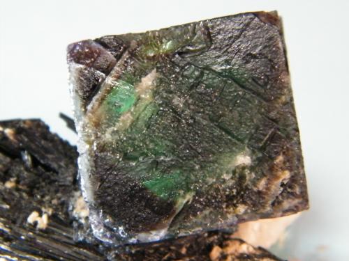 Fluorite/Schorl<br />Erongo Mountain, Usakos, Erongo Region, Namibia<br />73mm x 37mm x 24mm<br /> (Author: Heimo Hellwig)