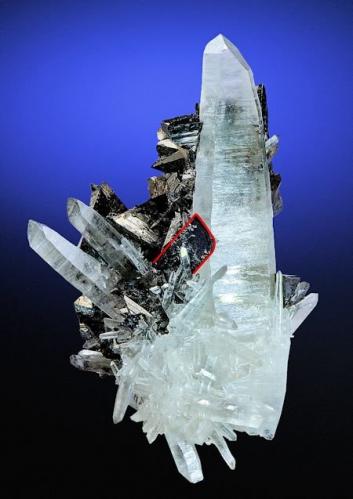 Tetrahedrite, Hübnerite, Quartz<br />Mundo Nuevo mining area, Mundo Nuevo, Huamachuco, Sánchez Carrión Province, La Libertad Department, Peru<br />92 mm x 61 mm<br /> (Author: Carles Millan)