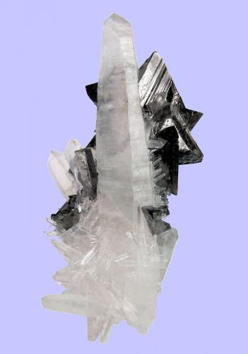 Tetrahedrite, Hübnerite, Quartz<br />Mundo Nuevo mining area, Mundo Nuevo, Huamachuco, Sánchez Carrión Province, La Libertad Department, Peru<br />92 mm x 61 mm<br /> (Author: Carles Millan)