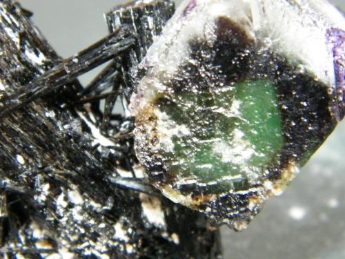 Fluorite and Schorl<br />Erongo Mountain, Usakos, Erongo Region, Namibia<br />51mm x 52mm x 28mm<br /> (Author: Heimo Hellwig)