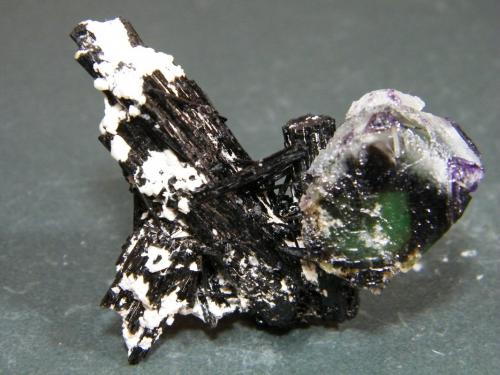 Fluorite and Schorl<br />Erongo Mountain, Usakos, Erongo Region, Namibia<br />51mm x 52mm x 28mm<br /> (Author: Heimo Hellwig)