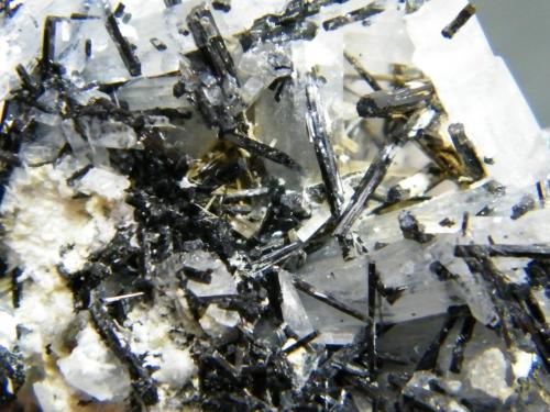 Beryl (variety goshenite) and Schorl<br />Monte Erongo, Usakos, Región Erongo, Namibia<br />93mm x 46mm x 52mm<br /> (Author: Heimo Hellwig)