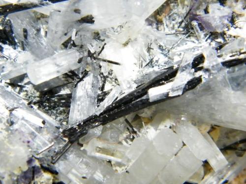 Beryl (variety goshenite) and Schorl<br />Monte Erongo, Usakos, Región Erongo, Namibia<br />93mm x 46mm x 52mm<br /> (Author: Heimo Hellwig)
