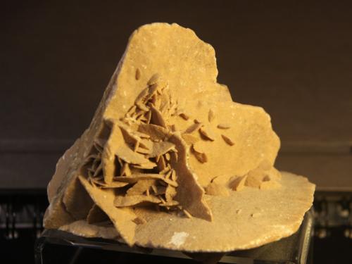 Gypsum<br />Tunisia<br />11cm x 7cm x 11 cm<br /> (Author: franjungle)