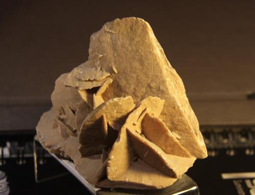 Gypsum<br />Tunisia<br />11cm x 7cm x 11 cm<br /> (Author: franjungle)