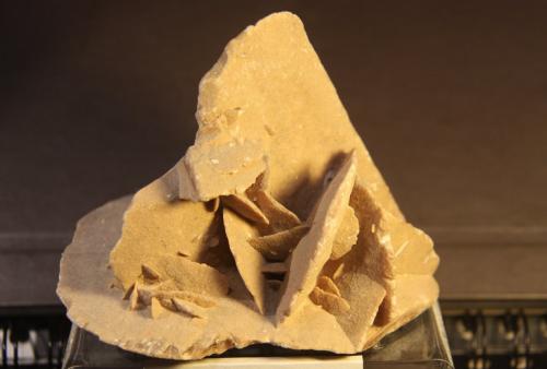 Gypsum<br />Tunisia<br />11cm x 7cm x 11 cm<br /> (Author: franjungle)