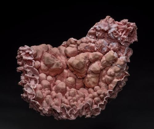 Rhodochrosite<br />Mina Oppu, Nishimeya-mura, Distrito Nakatsugaru, Prefectura Aomori, Región Tohoku, Isla Honshu, Japón<br />11.5 x 8.6 cm<br /> (Author: am mizunaka)