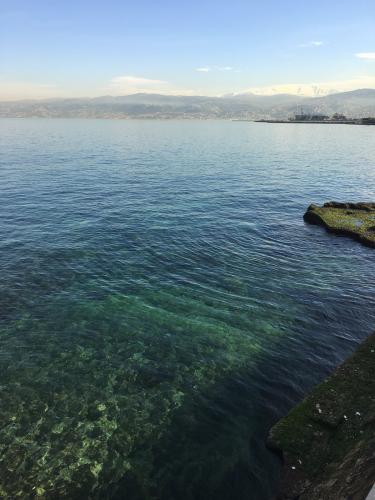 Still on the corniche, looking east. The snow-capped mountain in the background is the mount Sannine. (Author: Fiebre Verde)